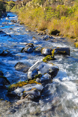 Ice clinging to mossy rocks in a frigid river. Photographed in the Volcanic Plateau, New Zealand