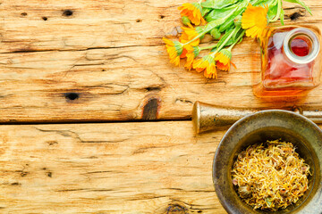 Calendula healing herbs