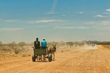 Obraz premium Donkey carriage with 2 men on a dusty dirt road in Namibia, Africa. Driving car with dust cloud in background and blue sky