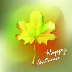autumn festival, maple leaf