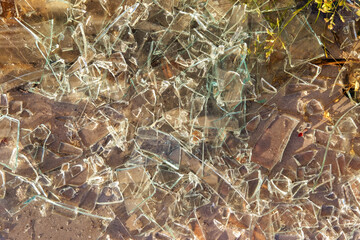 Small pieces of broken glass on the ground illuminated by the sunlight