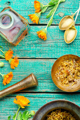 Calendula healing herbs
