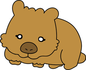 ウォンバット　wombat