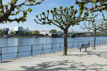 Menschenleere Rheinpromenade mit Blick zum Bonner Rheinufer