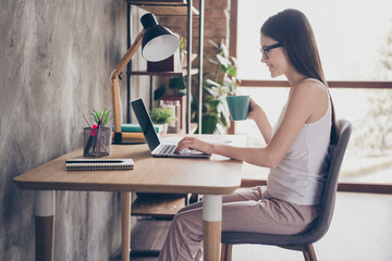 Profile side photo of pretty positive girl agent executive work distance use laptop have partners...