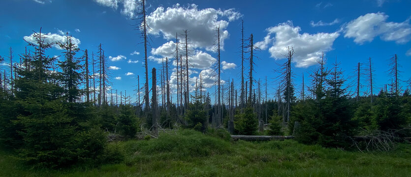 Kyrill Bilder Durchsuchen 530 Archivfotos, und Videos