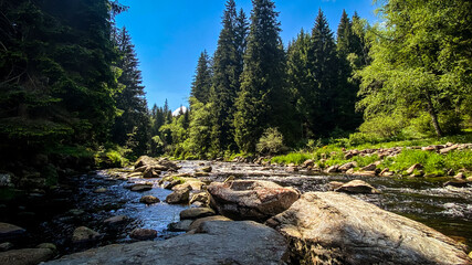 Sumava's river Vydra