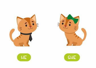 Cat girl and cat boy  illustration with typography. She and he antonyms flashcard vector template. Word card for english language learning with flat characters. Opposites concept. .