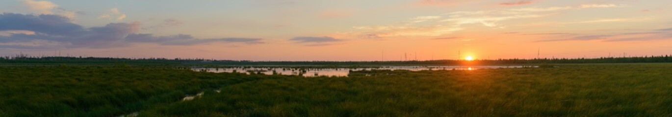 Evening summer landscape with swamp overgrown with thick grass