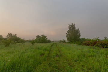 Fototapeta na wymiar A grassy road going through the misty field just before the sunrise.