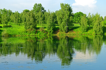 Fototapeta na wymiar Penyaginsky Pond in Mitino Landscape Park. Moscow, Russia. Summer landscape