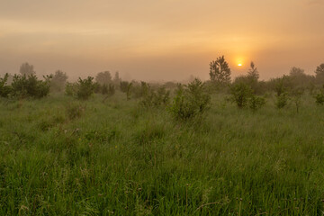 Beautiful first light in the misty morning somewhere in the countryside in summer. Horizontal landscape photography.