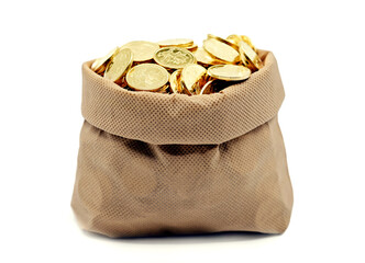 bag with money isolated on white background.