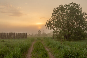 Rising of the sun in early morning above the beautiful green meadow, an old wooden fence and a overgrown country road. 