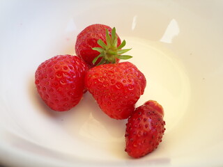 Erdbeeren