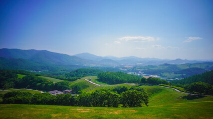 Obraz premium 공기 좋은 초원