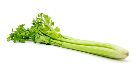 Green fresh celery. Stick isolated on white.