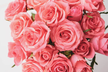 Beautiful bouquet of fresh pink roses in full bloom.