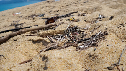 Different rubbish on the sand by the sea, close-up
