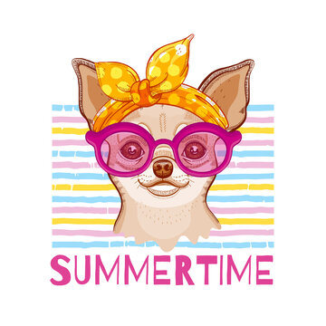 Chihuahua Dog in fashion headband and glasses. Vector cute girl puppy. Funny cartoon illustration in cool hipster style. Summer animal art. Hand drawn pet for greeting card design, t shirt print