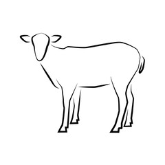 Obraz premium Logo of Grazing sheep full length isolated on white.