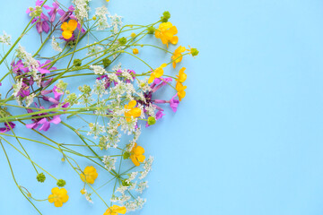 Bouquet of wild flowers on blue background