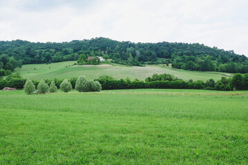 Fototapeta na wymiar Rolling green hills in Piedmont, Northern Italy.