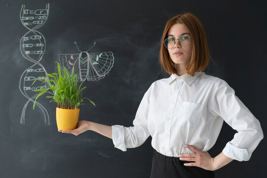 A young girl in a white shirt, black pants and glasses. student stands on the background of the school blackboard. In her hands is a pot of plants.