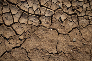 Cracked earth from prolonged drought. Background and texture of brown dry soil closeup