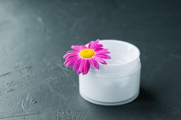 large bright pink chamomile on a large white jar with body and hand cream on a dark cement background, cosmetic layout for natural cosmetics