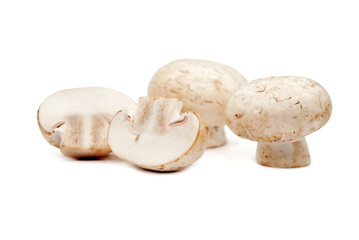 mushrooms on a white background