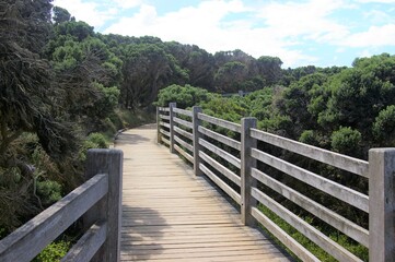 Fototapeta na wymiar The wooden walkway through coastal vegetation to the Grotto formation, Port Campbell National Park, Victoria, Australia.