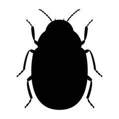 Black silhouette of the Colorado potato beetle on a white background. Vector illustration.