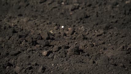 The black soil in the countryside close-up
