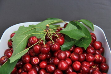 Le temps des cerises