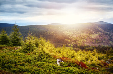 Snieznik Landscape Park at sunset. Mountain massif in the Eastern Sudetes on the border of the...