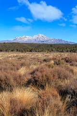 Fototapeta premium Mount Ruapehu seen from the grasslands of the Rangipo Desert, New Zealand