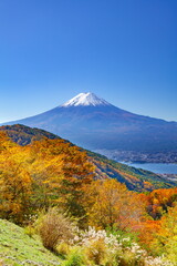 富士山と紅葉、山梨県南都留郡富士河口湖町御坂峠にて