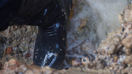 Pipe burst on main pipe