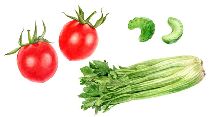 Set of frech celery with tomatoes watercolor illustration isolated on whitre background