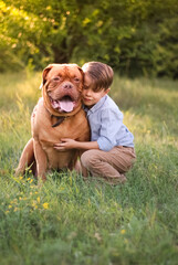 boy with a dog on the grass
