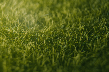 Fototapeta premium Artificial close up green grass texture 