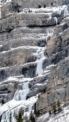 Fototapeta na wymiar Vertical frame Bridal Veil Falls in Provo Canyon with snow ice and evergreen trees in winter