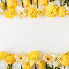 Frame with blank copy space made of yellow narcissus and tulip flowers on white background. Flat lay, top view floral festive holiday concept