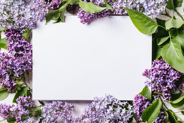 Frame with purple lilac and an empty sheet for text on a white background. Spring concept. International Women's Day. Mother's day.