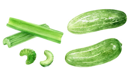 Set of frech celery with cucumber watercolor illustration isolated on whitre background