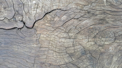 Wood texture background