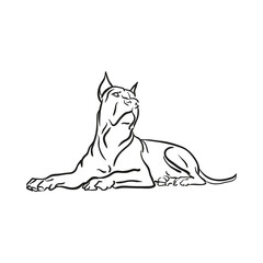 pitbull for logo, symbol, simple illustration, sport team emblem, mascot, design element and label, security idea,