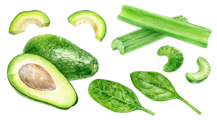 Set of frech celery with avocado, spinach watercolor illustration isolated on whitre background