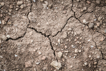 dry cracked earth, land, ground, soil